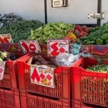 بكم الطماطم؟.. أسعار الخضراوات والفاكهة بكفر الشيخ الإثنين 6 إبريل 2026